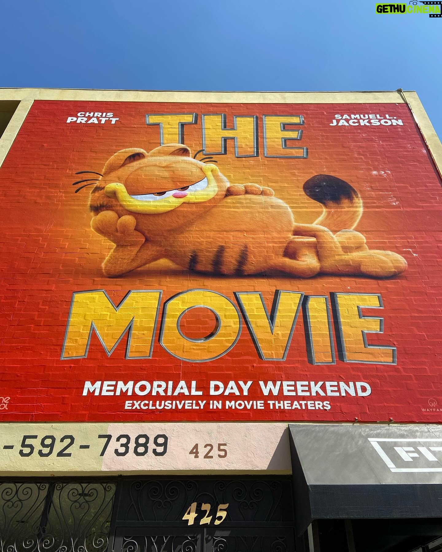 John Cohen - 19.6K Likes - Amazing animatronic billboards, furry buses, benches, and orange all around town! 🧡 #GarfieldMovie
