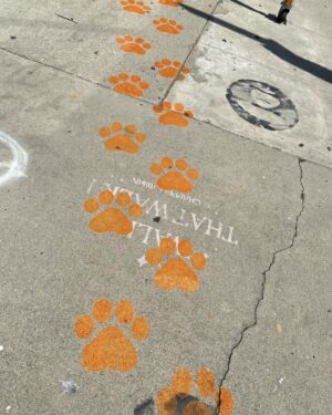 John Cohen Instagram - Amazing animatronic billboards, furry buses, benches, and orange all around town! 🧡 #GarfieldMovie