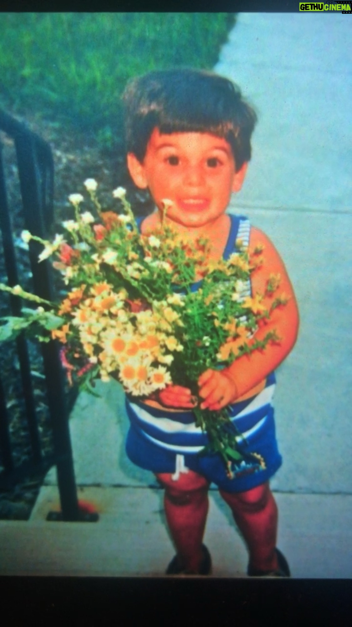 John DeLuca - 10.8K Likes - Apology instructions: 1. Be small. 2. Have flowers. 3. Have big ol fat head.