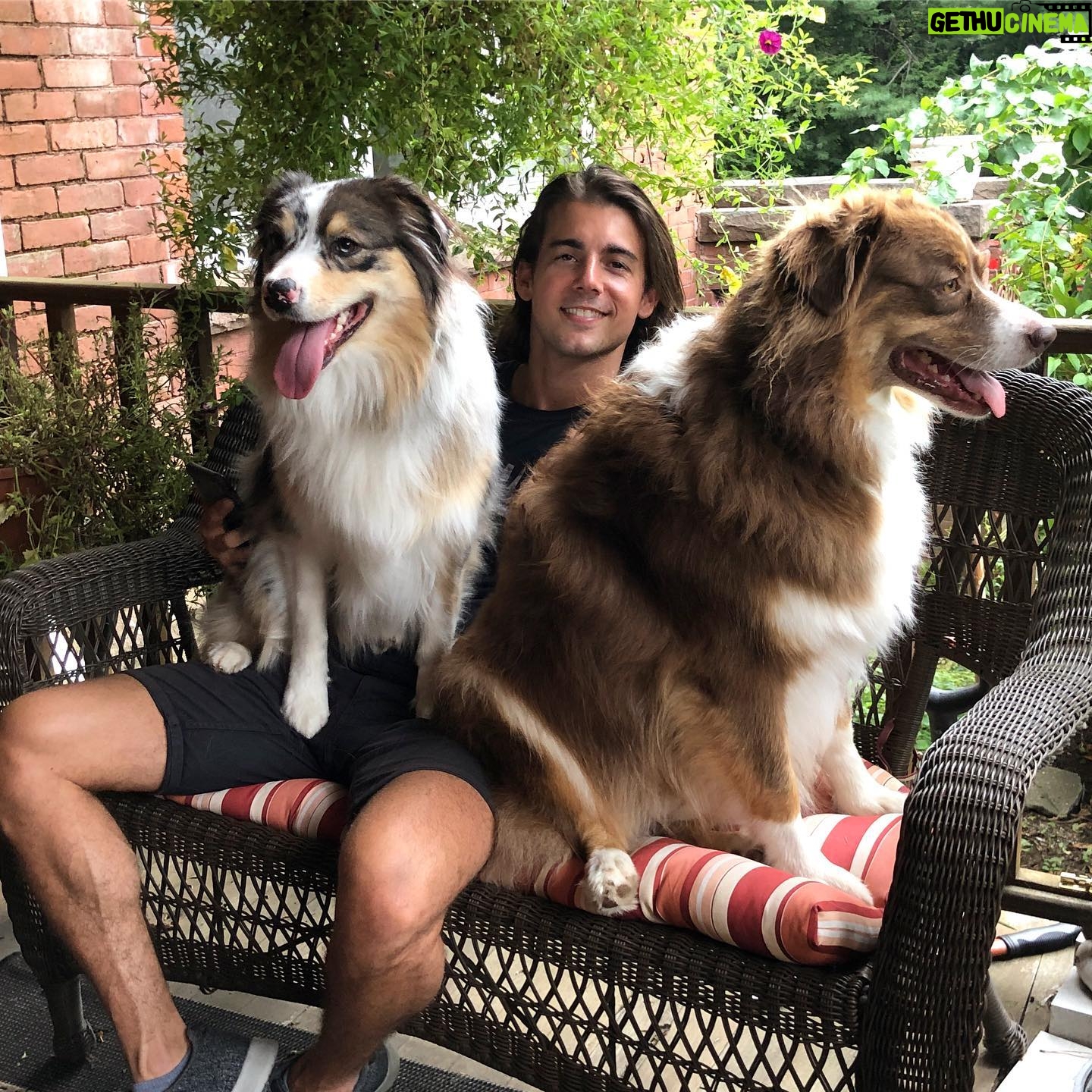John DeLuca - 10.3K Likes - My parents’ pups are infinitely more photogenic than me and I’m okay with it.