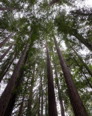 John Karna Instagram - Nature pics Big Sur wow life is crazy huh gang does anyone have some good tips how do we all do this!? Should we all drink more water?!?