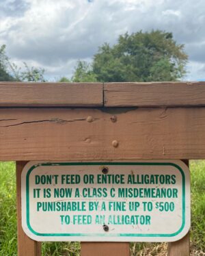 John Karna Instagram - Do Not Entice Alligators! 
{Still Alive in Texas!}
🏕🏕🏕