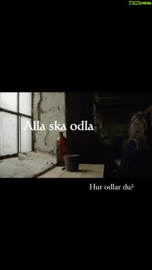 John Taylor Instagram - Vi är äntligen igång och spelar in en ny säsong, Trädgårdstider 2025, håll i er! 
Årets tema är ALLA SKA ODLA - även om du har för lite plats, hopplöst dåligt läge, för lite sol, för mycket sol eller kanske just det perfekta läget? 
Skriv en liten kommentar här under om vad och hur du odlar, har du några bra knep som du vill dela med dig av kanske? Vi vill veta ALLT! 

Odling 2025 nu kör vi🌱🌱🌱🌱🌱

@pernillamc @adamaamann @johtay @svt @guldkanten_svt #trädgårdstider #trädgårdsinspiration #odlahemma #odlarglädje #odlaipallkrage #odlagrönsaker #urbanodling #balkongodling