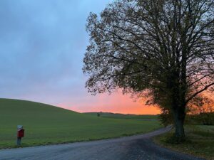 John Taylor Instagram - Älskar allt. #skåne