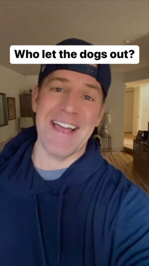 Johnno Wilson Instagram - Save our dogs