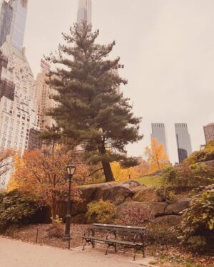 Jolene Blalock Instagram - As the sun casts its golden spell on Central Park, the leaves don their fiery hues, whispering tales of change with every gentle tumble to the ground. This enchanting prelude to winter, a canvas of orange and crimson, is nature's own storytelling, reminiscent of Gaiman's fantastical worlds woven within the mundane. Soon, the trees will stand as silent sentinels to the crisp air, their branches bare like the lines of a story yet to be inked. 'Tis the season of transformation, where every leaf tells a tale, and every chill breeze heralds the coming of festive whispers. Embrace the enchantment—winter's prologue is upon us.

For a touch of history, did you know that Central Park, designed by Frederick Law Olmsted and Calvert Vaux, was first established in 1858? It's a living piece of history, offering a natural retreat from the bustling city life and has witnessed countless seasons change within its embrace. #centralpark #family