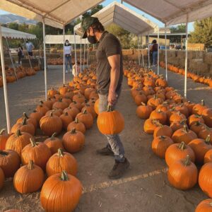 Jon Ecker Instagram - Pick your pumpkin.