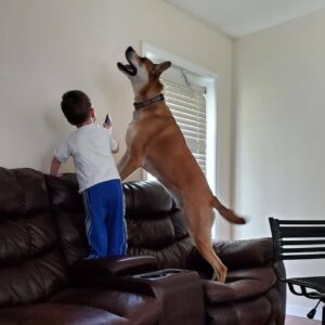 Jon Huber Instagram - Quarantine update #2

Dogs
3 legged cats
Insane 2 year old
Fat Ham cat
More Dogs
Sheiky
Publix uniform for mom
Zoom Jiu-jitsu 
Etc. In no particular order

Thoughts Larry?