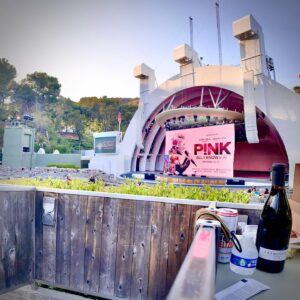 Jon Huertas Instagram - BACK AT THE BOWL!!! So glad the @hollywoodbowl is hosting the home girl @pink ‘s documentary #tonight !!! #datenight #PinkMusic #AlliKnowSoFar #AIKSF #PinkAIKSF
@AmazonPrimeVideo