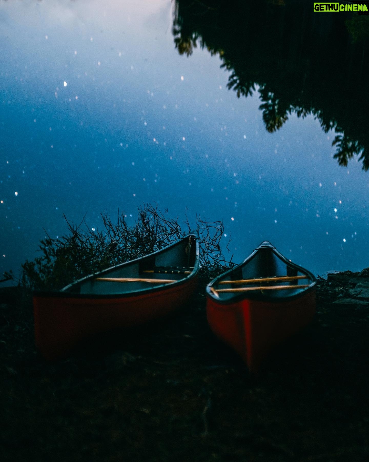 Jon Simonassi - 555 Likes - Going offline for the weekend, here’s a photodump to remind you to do the same now and then 🌿
#goingoffline #explorecanada #milkywayphotography #astrophotography #campinglife
