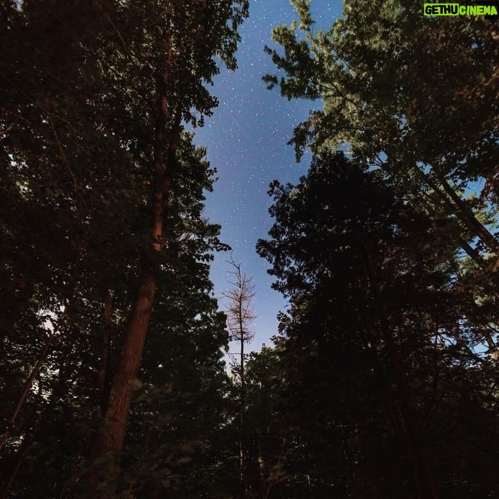Jon Simonassi - 555 Likes - Going offline for the weekend, here’s a photodump to remind you to do the same now and then 🌿
#goingoffline #explorecanada #milkywayphotography #astrophotography #campinglife