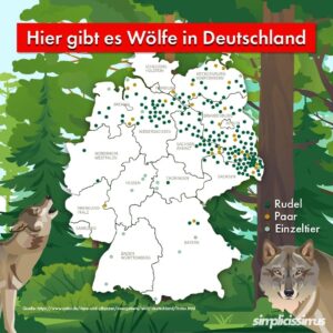 Jonas Instagram - Trotz der Tötungen genießt der Wolf in Deutschland aber eine sehr hohe Akzeptanz. Eine repräsentative Umfrage des Nabu ergab, dass 77% der Befragten es erfreulich finden, dass Wölfe wieder durch deutsche Wälder streifen.

Gibt es in eurer Region auch Wölfe?