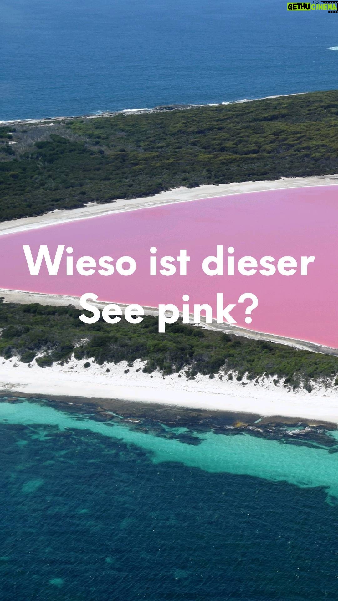 Jonas - 8.8K Likes - Wieso ist eigentlich dieser See hier pink?