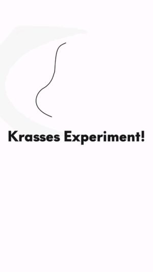 Jonas Instagram - Welche Form ist Kiki? Welche ist Bouba?
#simplicissimus #experiment #gutzuwissen #wissenswert