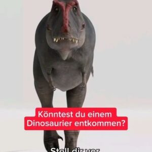 Jonas Instagram - Könntest du einem Dinosaurier entkommen? 
#simplicissimus #wissenswert #Dinosaurier #jurassicpark