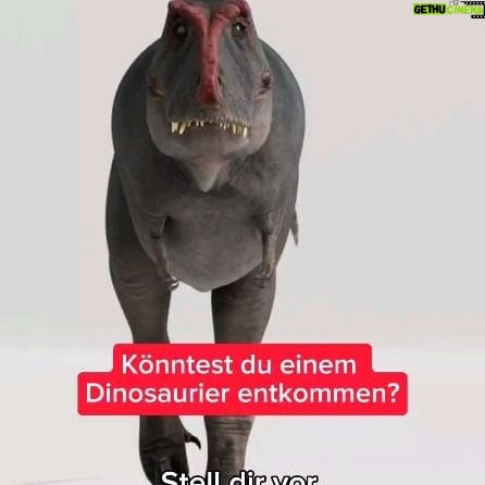 Jonas - 15.5K Likes - Könntest du einem Dinosaurier entkommen?
#simplicissimus #wissenswert #Dinosaurier #jurassicpark