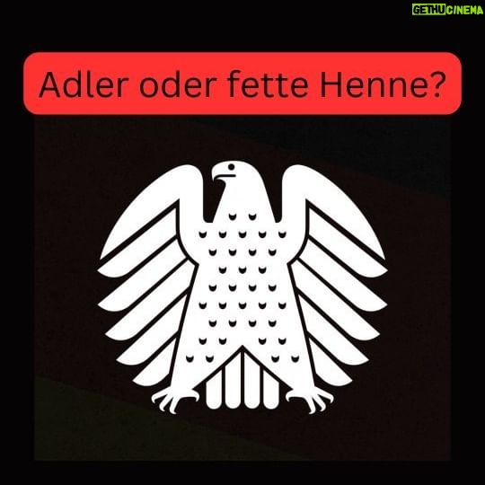 Jonas - 15K Likes - Adler oder fette Henne?
#bundesadler #deutschland #fettehenne #hoheitszeichen #bundestag