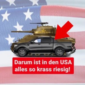 Jonas Instagram - Wieso ist in den USA eigentlich alles viel größer? 

#usa #gobigorgohome #supersize #gross #simplicissimus #wissenswert #meme