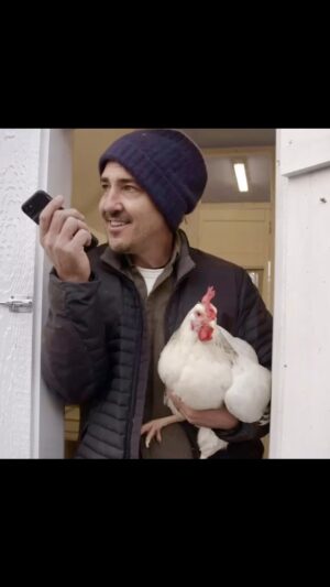 Jonathan Knight Instagram - Miss you so much! Today I spent the day cleaning around the coop it’s just not the same without you here.  Can’t believe it’s been over a year now since you left us my dear Stella.