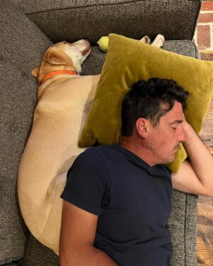 Jonathan Knight Instagram - Happy 10 months on earth to our sweet boy! Can’t imagine life without him or what his  life would have been if we didn’t adopt! Thank you for giving us  your unconditional love Oliver. We will give you the same back over and over! #adoptdontshop #sweetpawsrescue @harley.rodriguez