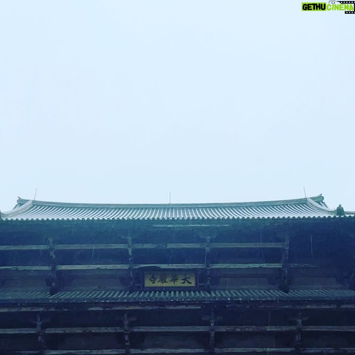Jordan Calloway - 16.2K Likes - Kuromon Market ā
Nara Park ā
Todai-ji Temple ā
ā
ā
All done in my Tanjiro shorts āļøā¦ first time ever being in a typhoon š¤Ŗ