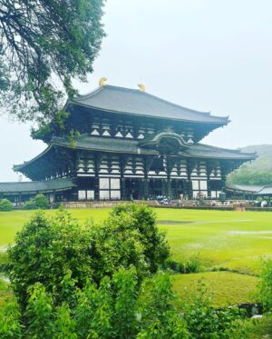 Jordan Calloway Instagram - Kuromon Market ✅
Nara Park ✅
Todai-ji Temple ✅✅✅
All done in my Tanjiro shorts ☔️… first time ever being in a typhoon 🤪