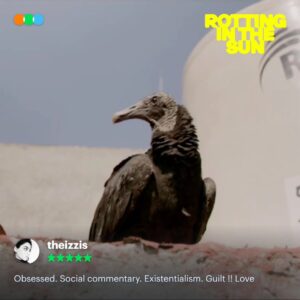 Jordan Firstman Instagram - Rotting in the Sun is Letterboxd approved. ⛱️

Skewering the business of filmmaking and our self-obsessed culture and starring @sebastiansilva79 and @jtfirstman as hilarious versions of themselves, Sundance hit Rotting in the Sun is now streaming on: 

🇧🇷 @mubibrasil 
🇨🇦 @mubicanada 
🇩🇪 @mubideutschland 
🇫🇷 @mubifrance 
🇮🇹 @mubiitalia 
🇦🇷🇨🇱🇨🇴🇲🇽🇵🇪 @mubilat 
🇳🇱 @mubinederland 
🇬🇧🇮🇪 @mubiuk 
🇺🇸 @mubiusa.  

A MUBI Release.

#RottingInTheSun
#MUBI