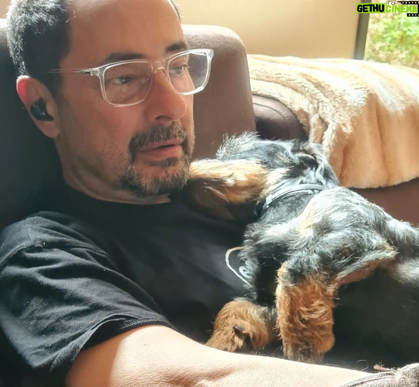 Jordi Sánchez - 13.5K Likes - Riposino