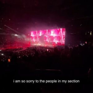 Jordyn Curet Instagram - i lost my voice from screaming too hard but it was worth it ‼️‼️#renaissanceworldtour #renaissancetour