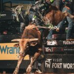 José Vitor Leme