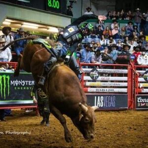 José Vitor Leme Instagram - This week we got the news that Wooppa retired from the sport of bull riding.
 Wooppa had such a great career, one of the most talented bulls in history, I wanted share with y’all some moments him and I had together that I’m sure will be not only be on my mind forever but in the history books too. 
 We met 5 times, I won 4 and on his very last out he won it, very well deserved. 
Together we had the first and second highest score of the history, 97,75 and 98,75 points. 
 Wooppa is the most special bull for me in my career, thanks to him I got 2 World Titles, I wish he could keep bucking and helping me win some more but I’m sure Larry,  @laramie.wilson and @katiepersch have special plans for him in the future, maybe I’ll have a chance to ride the little Wooppa’s that will come. 

Enjoy your retirement buddy, you deserve it, I will see you someday at the practice pen maybe 😅🙌🏻

Photos 📸: @constancejaeggi @andresilvaphoto @official_monson_photography @bullstockmedia 

Videos 🎥: @pbr @pbrbrazil 

Sponsored by: @yeti @monsterenergy @ariatinternational @canamoffroad
