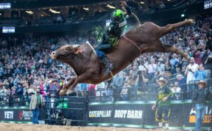 José Vitor Leme Instagram - This week we got the news that Wooppa retired from the sport of bull riding.
 Wooppa had such a great career, one of the most talented bulls in history, I wanted share with y’all some moments him and I had together that I’m sure will be not only be on my mind forever but in the history books too. 
 We met 5 times, I won 4 and on his very last out he won it, very well deserved. 
Together we had the first and second highest score of the history, 97,75 and 98,75 points. 
 Wooppa is the most special bull for me in my career, thanks to him I got 2 World Titles, I wish he could keep bucking and helping me win some more but I’m sure Larry,  @laramie.wilson and @katiepersch have special plans for him in the future, maybe I’ll have a chance to ride the little Wooppa’s that will come. 

Enjoy your retirement buddy, you deserve it, I will see you someday at the practice pen maybe 😅🙌🏻

Photos 📸: @constancejaeggi @andresilvaphoto @official_monson_photography @bullstockmedia 

Videos 🎥: @pbr @pbrbrazil 

Sponsored by: @yeti @monsterenergy @ariatinternational @canamoffroad
