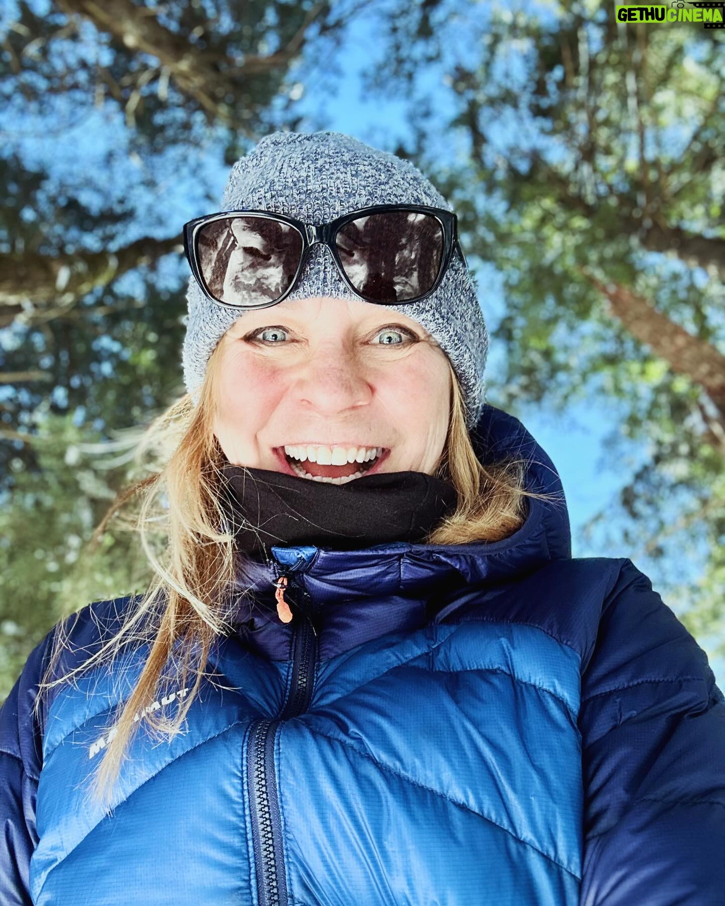 Josée Lavigueur - 111 Likes - Juste du wow ce week-end! J’espère que vous avez eu un moment pour profiter de cette neige aussi magnifique qu’inattendue🩵💙
Racontez-moi! J’adore vous liiire et vous voir😀
La musique wooow de @clayandfriends 🩷🎵