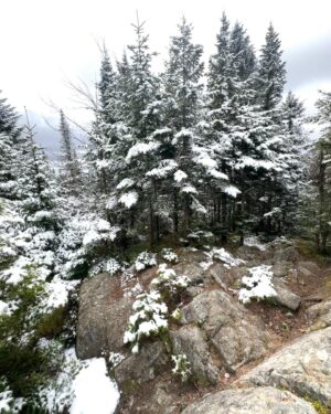 Josée Lavigueur Instagram - Une rando qui part du printemps , et qui fait un petit détour en hiver 🤪🌲☃️🏔️