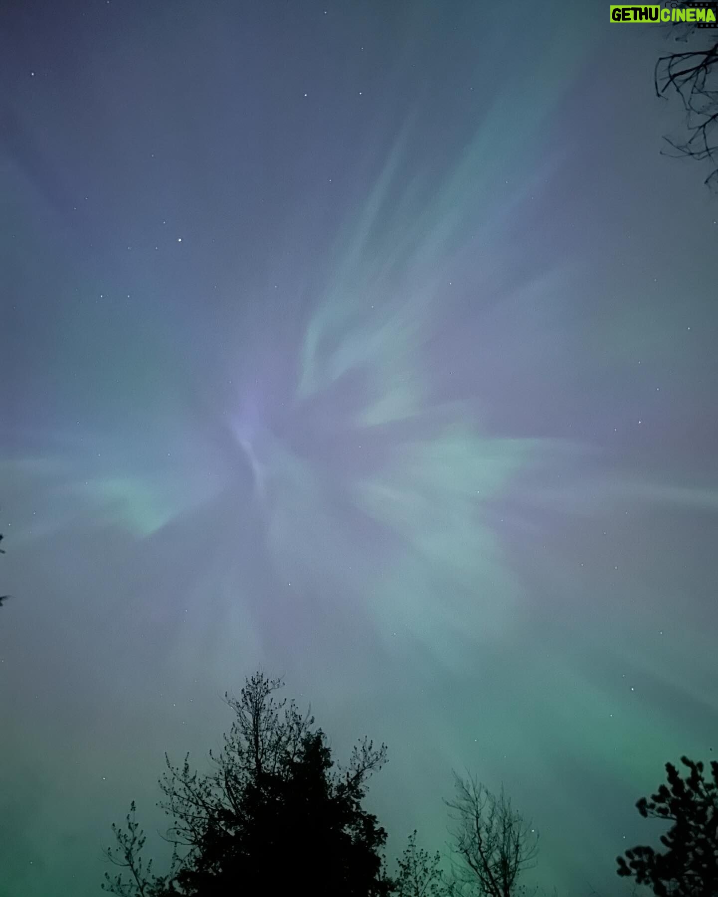 Josée Lavigueur - 198 Likes - Le ciel de l’Estrie a dansé cette nuit💫
Je n’ai utilisé aucun filtre et pourtant à l’oeil nu, il y avait moins de couleurs… Le résultat sur mon cell est si joli!!! La 2e photo est spéciale ….🌟
Que j’aimmmmme admirer le ciel et son immensité 😀
#auroresboreales