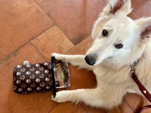 Josef Vrtal Instagram - 🐶🎉 Nový MERCH pro pejskaře! 🎉🐶
Na našem e-shopu právě přistála zbrusu nová Psí edice! 🐾 Ušili jsme pro vás pamlskovník, obal na doklady, svačinovník a klíčenku tak stylovou, že se váš pes bude chlubit v parku a všichni ostatní pejskaři  budou závidět! 😎
www.fotrnatripu.cz

#fotrnatripu 
#fotrnatripumerch #fotrsmeckanatripu #psimerch #novinka