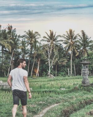 Joseph Cannata Instagram - ⁣
Rice Rice, baby! 🌾🌴⁣
⁣
#Bali⁣
#Travel⁣
#TheChediClub⁣