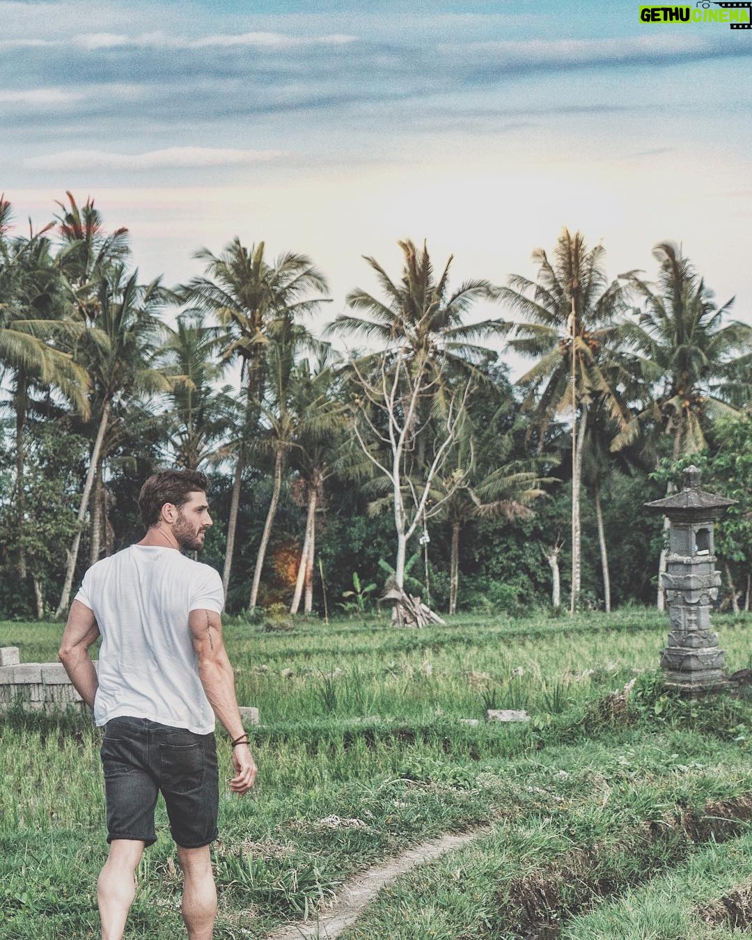 Joseph Cannata - 12.3K Likes -
Rice Rice, baby! 🌾🌴
#Bali
#Travel
#TheChediClub