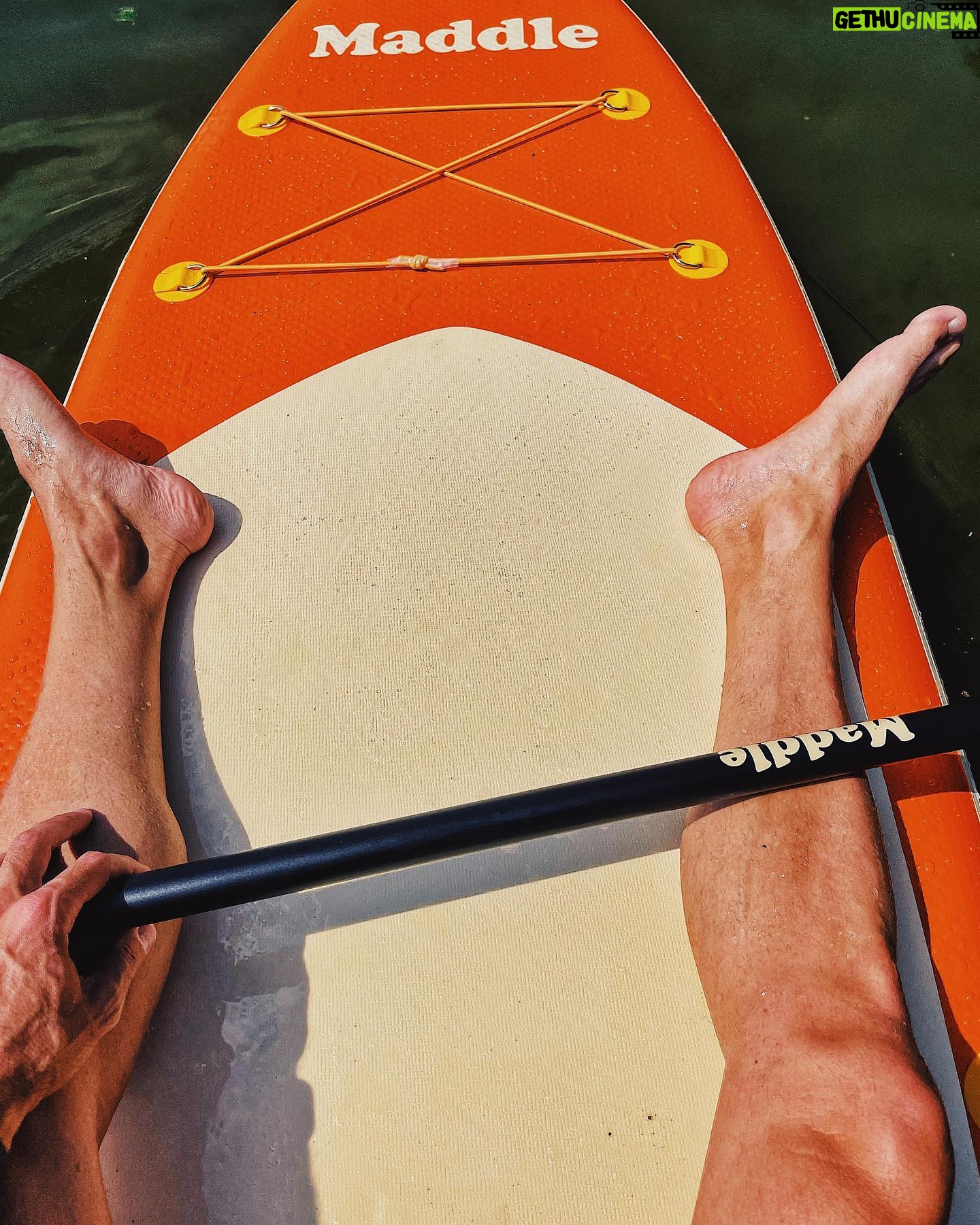 Joseph Cannata - 3 Likes -
The summer of yes! 🦭
@Maddleboards
#FreeSpirit