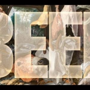 Joseph Lee Instagram - BEEF premieres April 6, only on @netflix