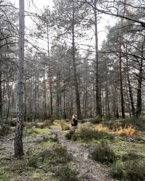 Joséphine Berry Instagram - Escape for the new moon in the enchanted forest and catching the last ray of sunshine 🍃🌚🌞

I had a little reminder from the trees:  root yourself and grow towards the light. ✨. 

#nature #root #newmoon #forest #inspiration #citybreak