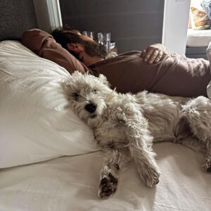 Josh Groban Instagram - Gloomy days we sleep way in