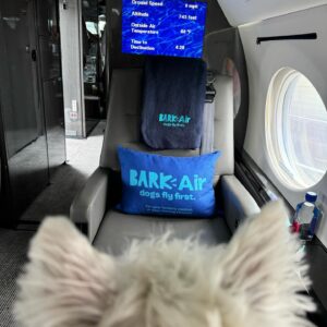 Josh Groban Instagram - Ok so I will always appreciate any company that wants to make pets happy. Honestly a dog friendly airline is something I have been wanting to see for a very very long time. Most airlines have made it so insanely difficult and stressful to travel with pets now, leaving me with such little trust or options (and that’s with a small dog!). When @barkair was announced and I needed to get cross country with my dude George I truly was excited to try it. This isn’t an ad. I loved it. The dogs were all super chill and excited to hang with each other and be pals and the crew went above and beyond to make it fun and low stress for them. More of this great pet attitude at high altitude please! 🐶✈️
