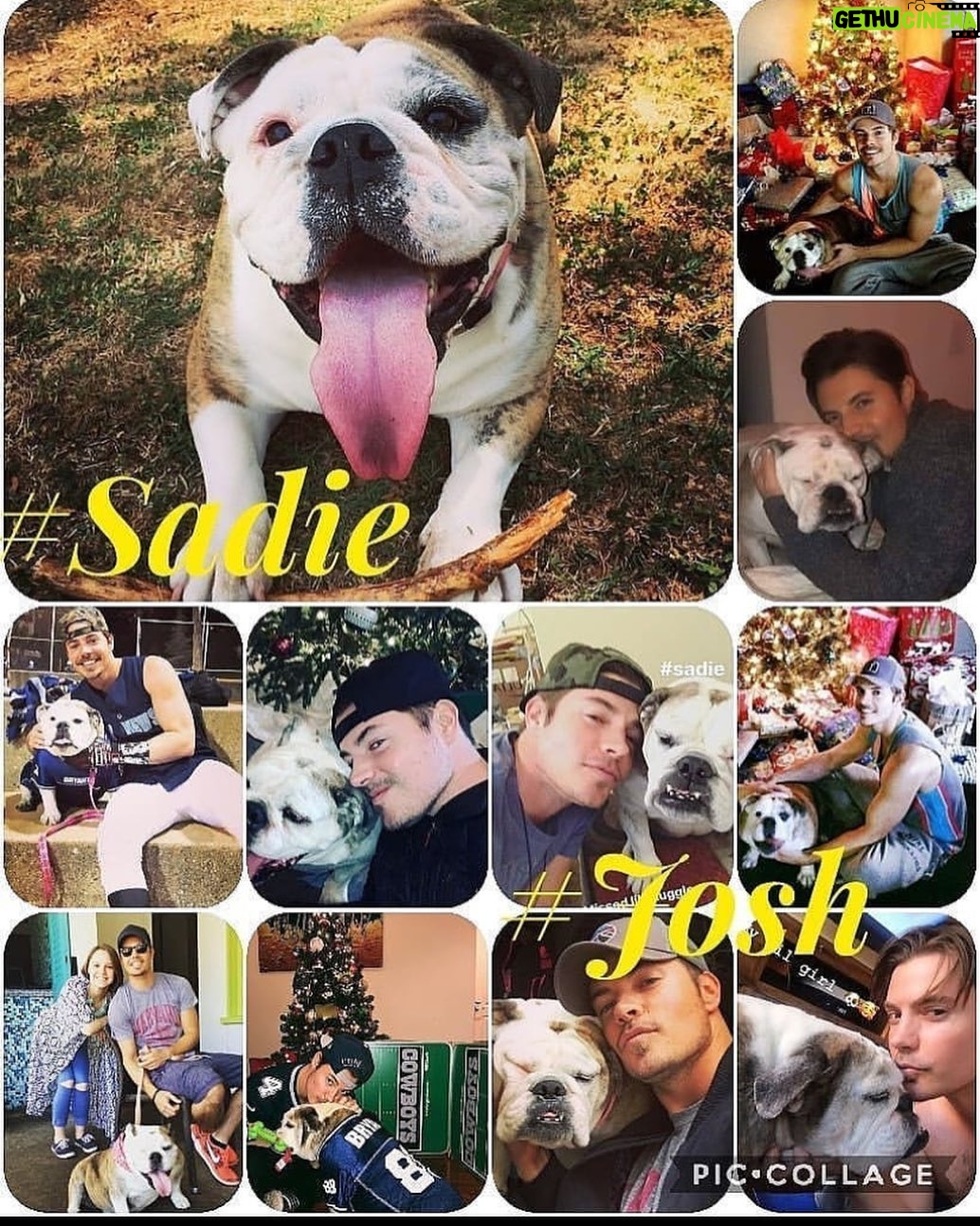 Josh Henderson - 4.7K Likes - HUUUUUGE Happy birthday TO MY LIL ANGEL SADIE GIRL. she turned 11 today. Yes 11 and she makes me so happy. Someone made this awesome collage for me ! If y’all have pets lemme know their names! They have no agenda and only know how to love. We could learn something from them :) Pretty special ☺️🤗