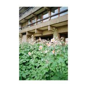 Josh O'Connor Instagram - BARBICAN