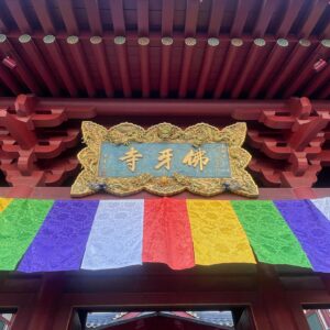 Jovika vijaykumar Instagram - Buddha Tooth Relic temple 🙏