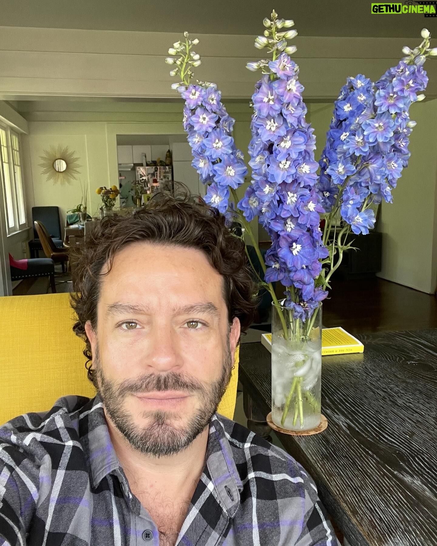 Juan Pablo Espinosa - 1.2K Likes - Obsesionado con estas flores (Delphinium)
Este azul es raro en flores š
Les aconsejo ponerle hielo a sus flores en el agua!
Van a ver cómo duran!
Obsessed with these flowers (Delphinium)
This blue is so rare in flowers š
A little tip, add ice to your flower water and see how much longer they last!