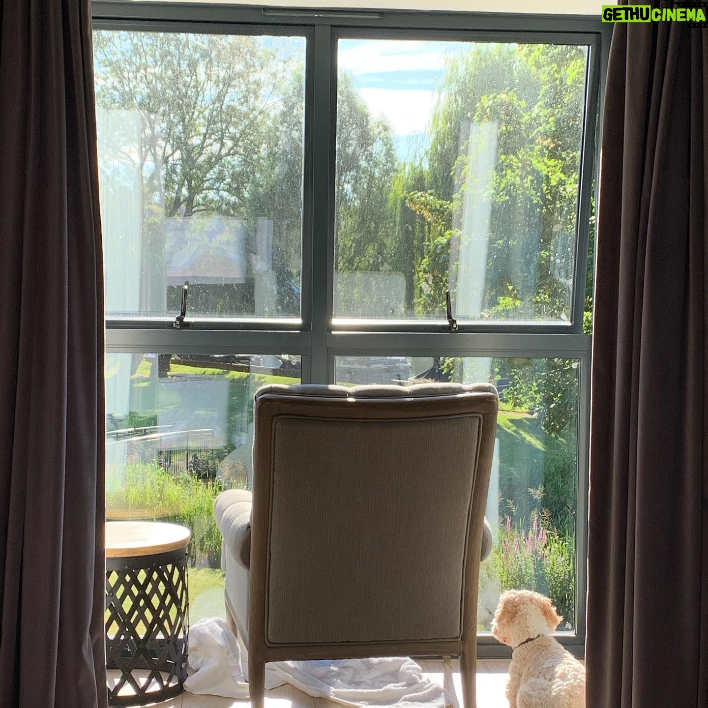 Judi Shekoni - 96 Likes - New adventures by the river... #holiday #england #englishsummer #river #hotel #hotels #travel #baby #dog #family #familytravel