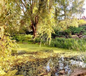 Judi Shekoni Instagram - Hammersmith park 🥰