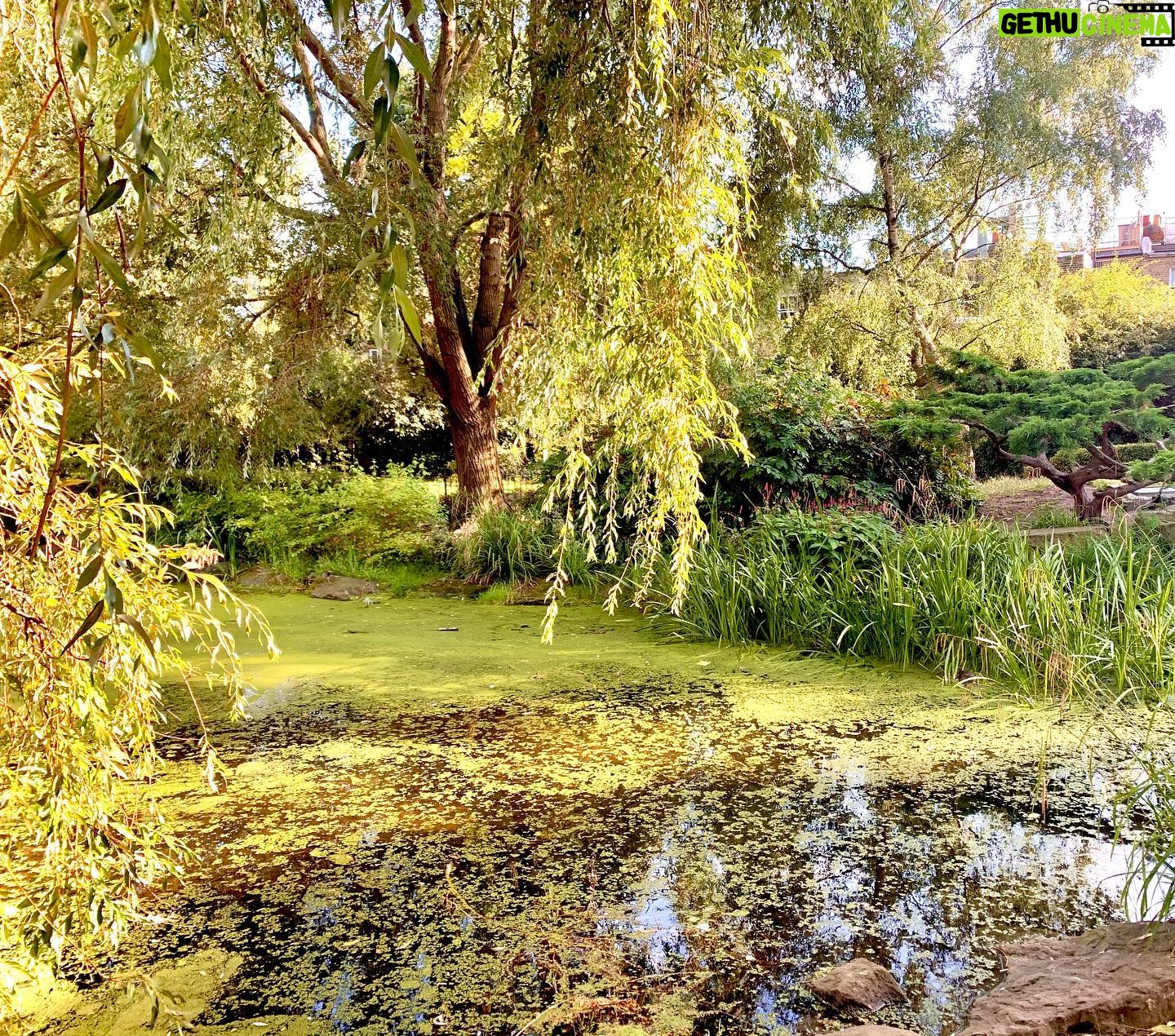 Judi Shekoni - 88 Likes - Hammersmith park 🥰